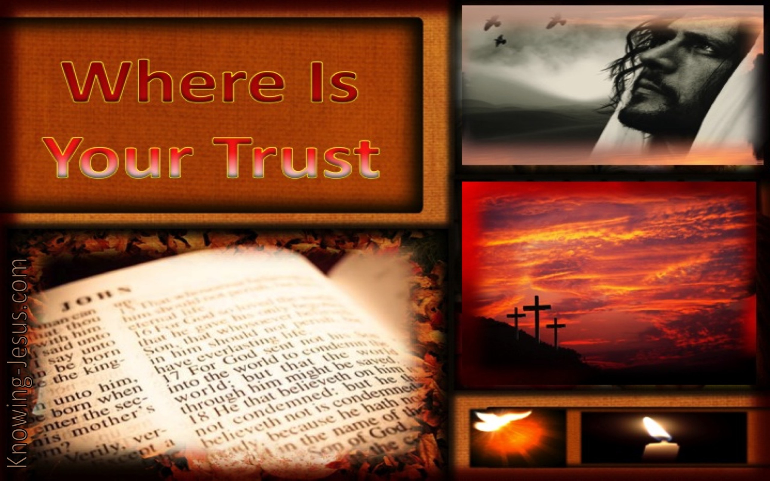Where is Your Trust (devotional)10-05 (beige)